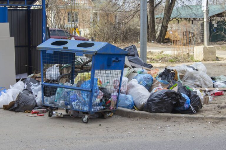 Ważna zmiana od 2026: Obowiązkowy zakup nowego pojemnika na odpady kuchenne Kosznasmieci
