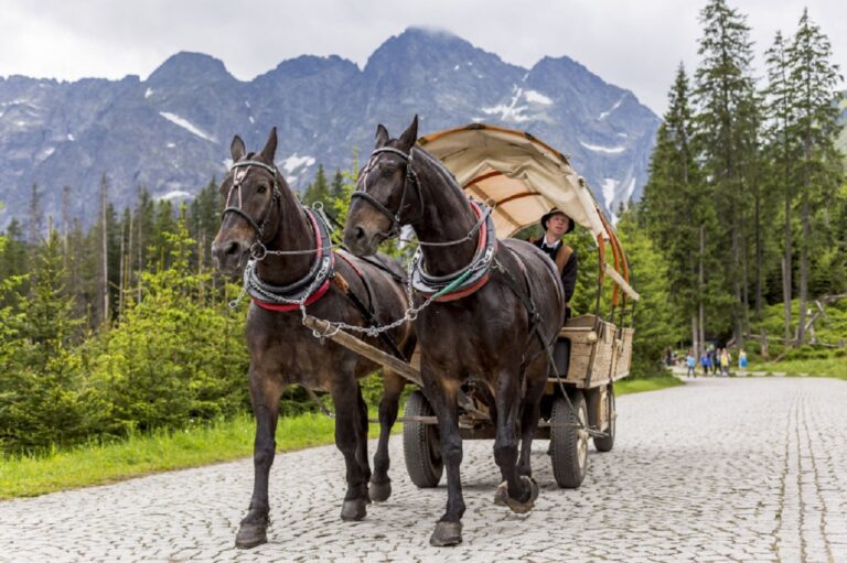 MorskieOkoKon