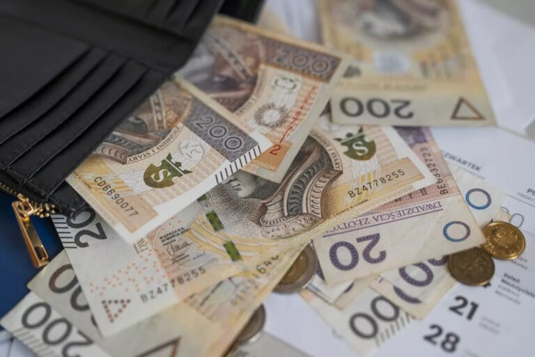 PieniadzePLNGotowka 1