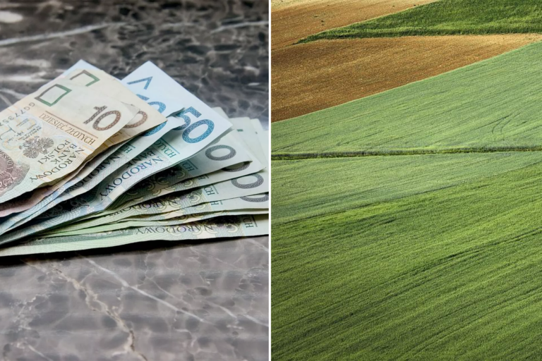 Koniec z kupowaniem ziemi „dla wnuka”. Masz tylko 5 lat na budowę! Dramat tysięcy Polaków Działka