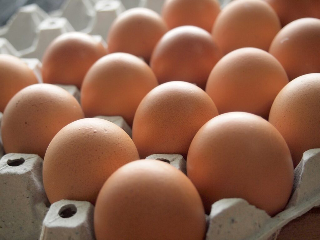 Salmonella w jajach z chowu ściółkowego. PILNE: Sprawdź datę 05.01.2026 Jajka