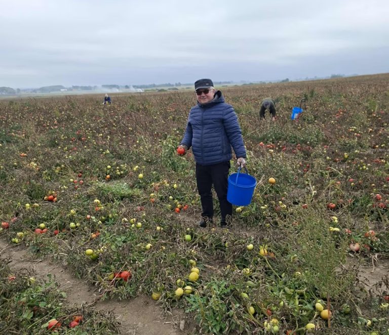 Rolnicy rozdawali zbiory za darmo. Teraz Urząd żąda podatku DarmoweZbiory